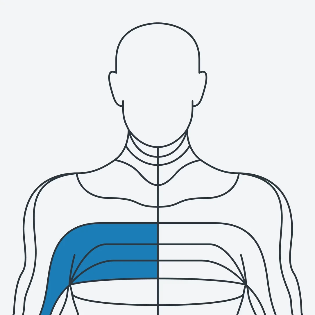 Another body diagram of nerve root zones