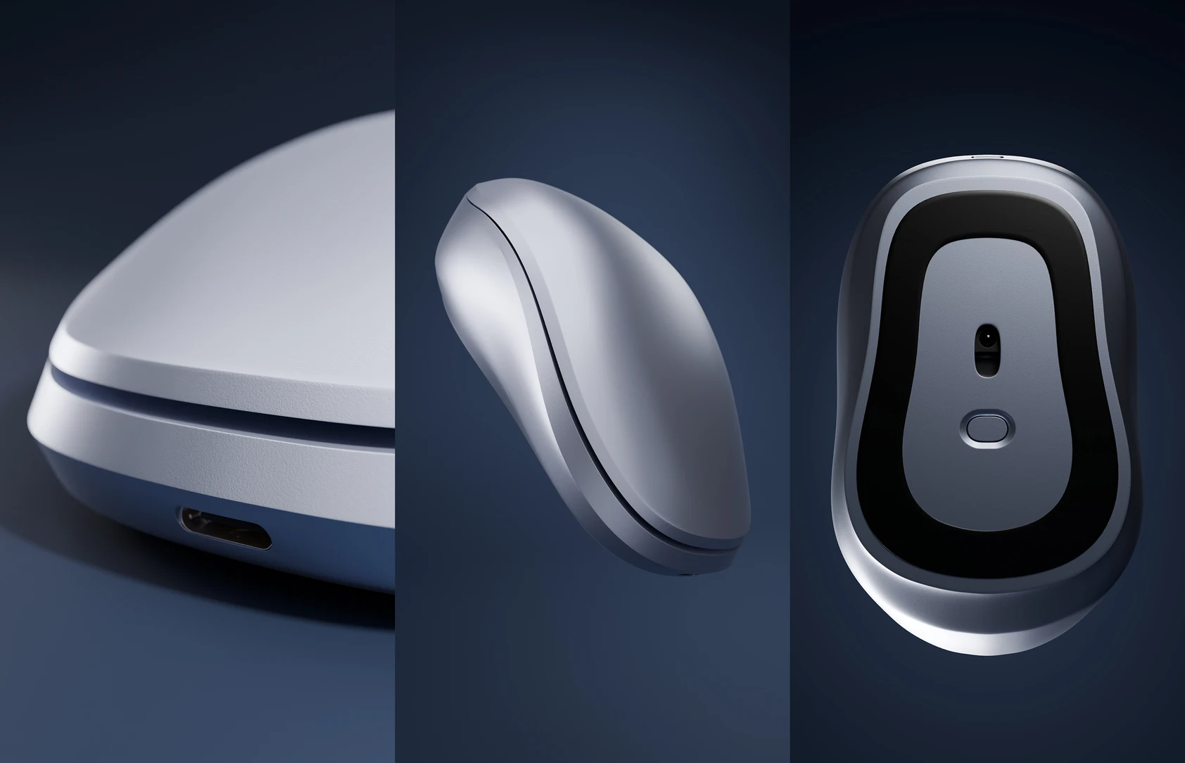 Details of the mouse